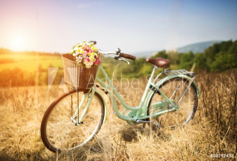 Bild på Vintage bicycle with basket full of flowers standing in field